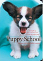 Puppy-School
