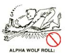 alpha_wolf_roll
