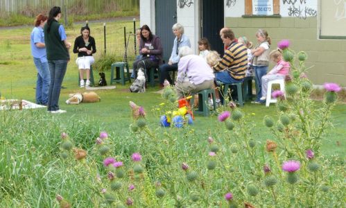 06 CLEAR Puppy school 12th Oct 08 043