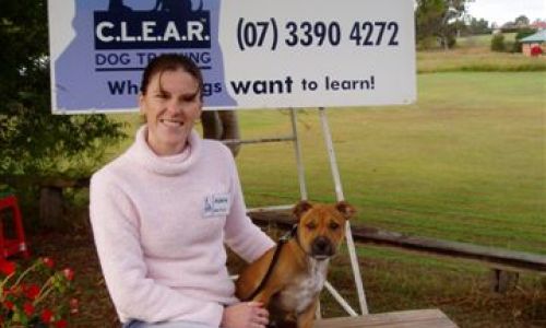 at sunday puppy school  50