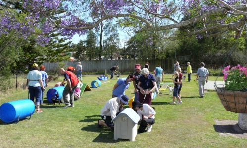 26 CLEAR Puppy school 19-10-08 (82)