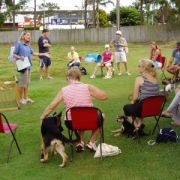 at sunday puppy school 4