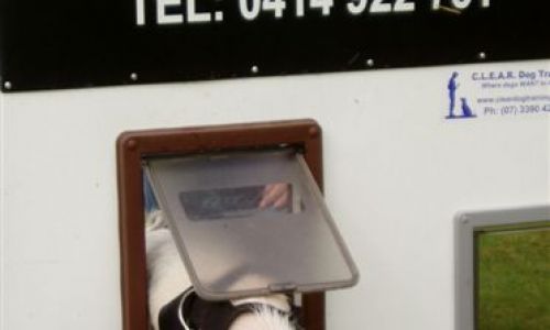 at sunday puppy school 28