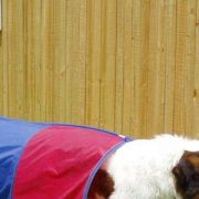 07 31st October 2004 010a