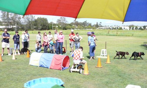 21 CLEAR Puppy school 19-10-08 (108)