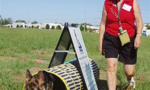 at sunday puppy school 19