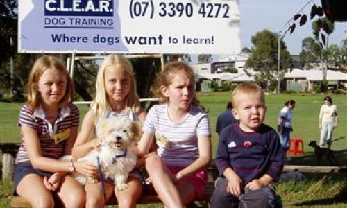 at sunday puppy school  52