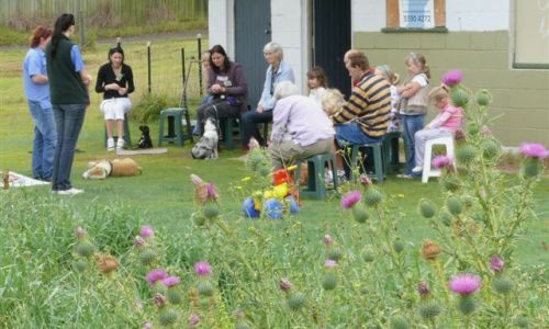 at sunday puppy school 30
